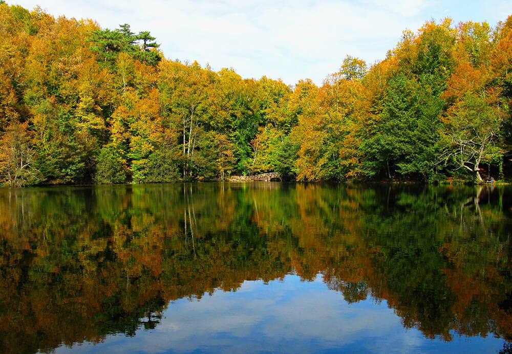 yedig-ller-milli-park-bolu-bi-yer-ke-fet